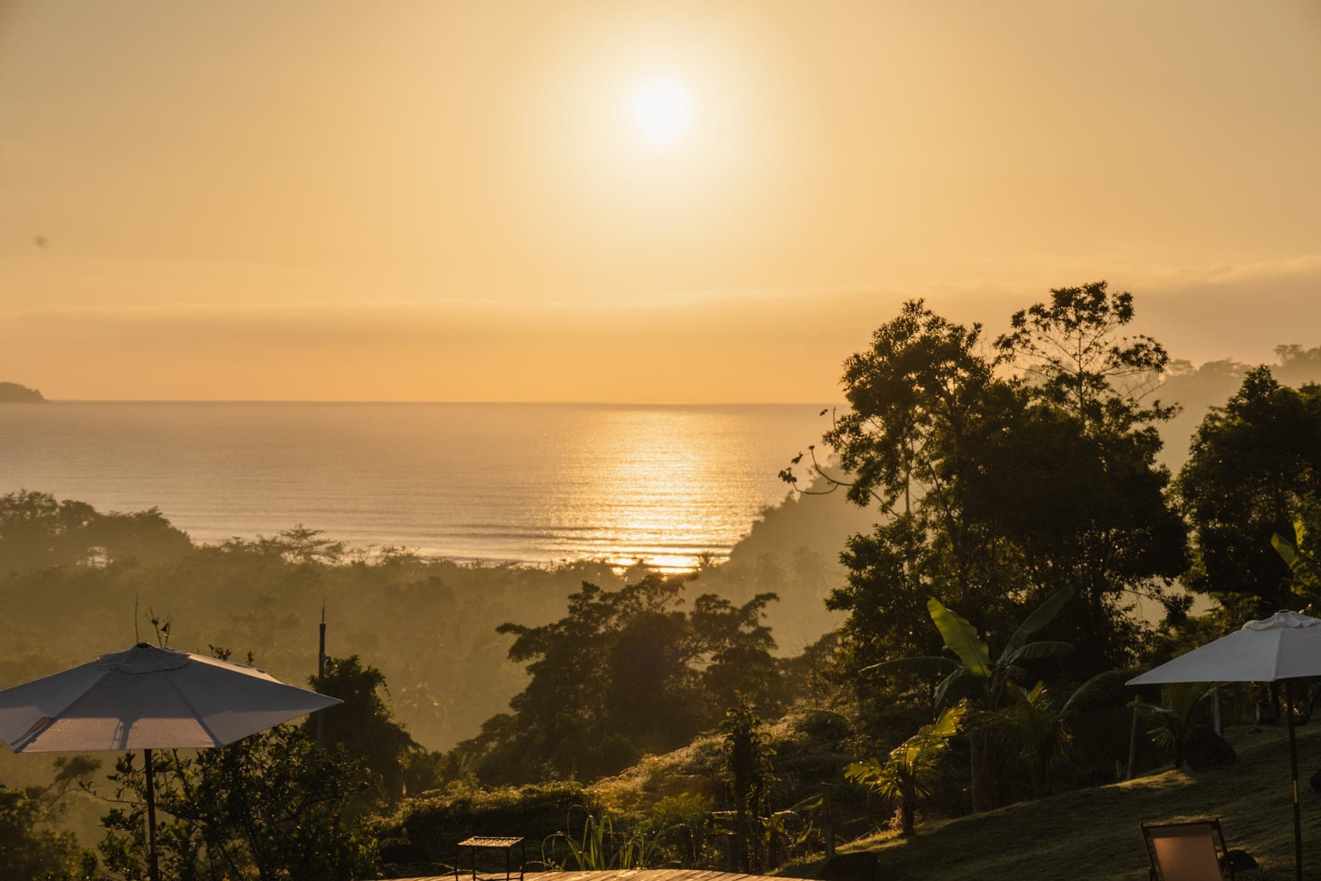 Momento Itamambuca rooms and pool area — minimalist design in natural setting