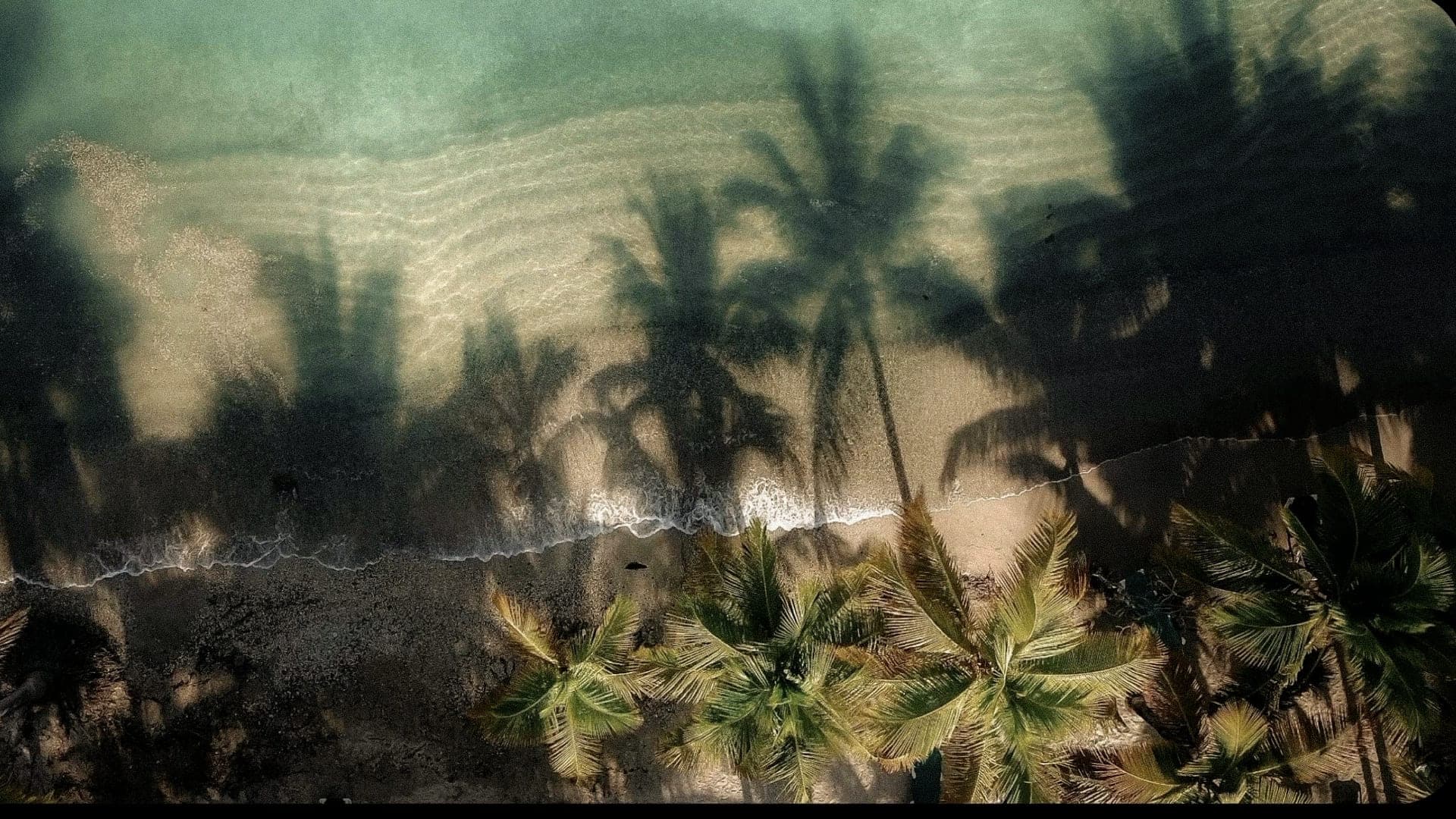 Momento Itamambuca — boutique hotel on Itamambuca Beach surrounded by Atlantic Forest, Ubatuba