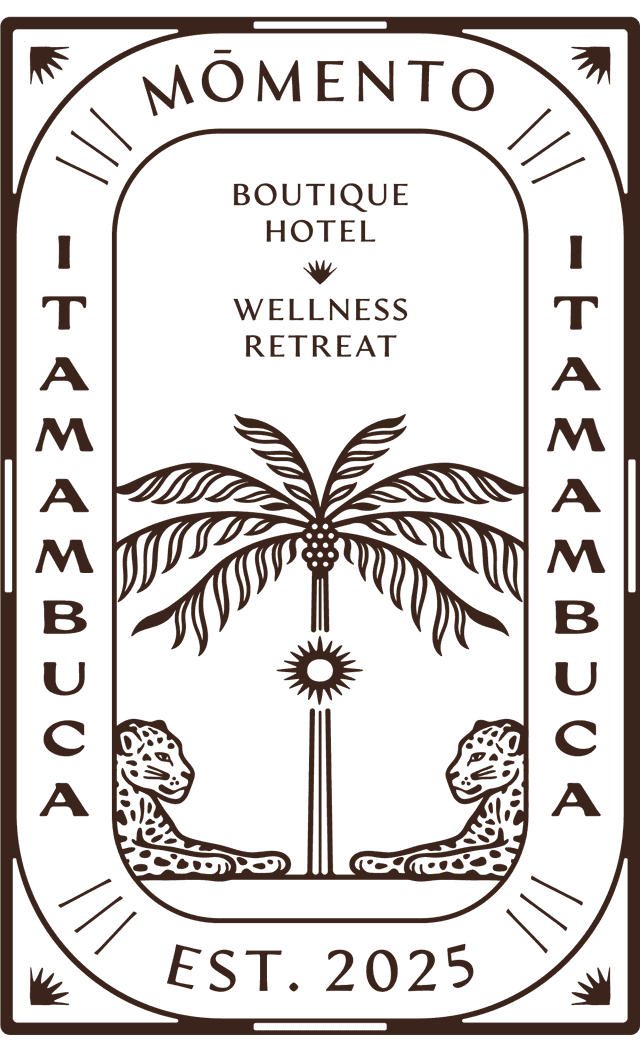 Momento Itamambuca
